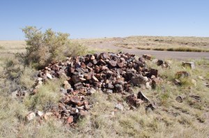 tumblr_mxnn4coTTU1sugwpoo1_1280