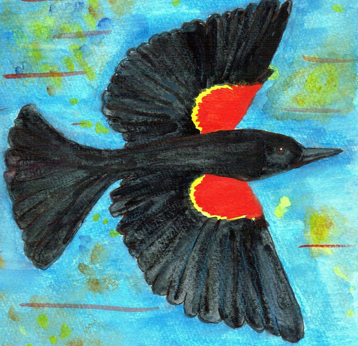 redwing blackbird