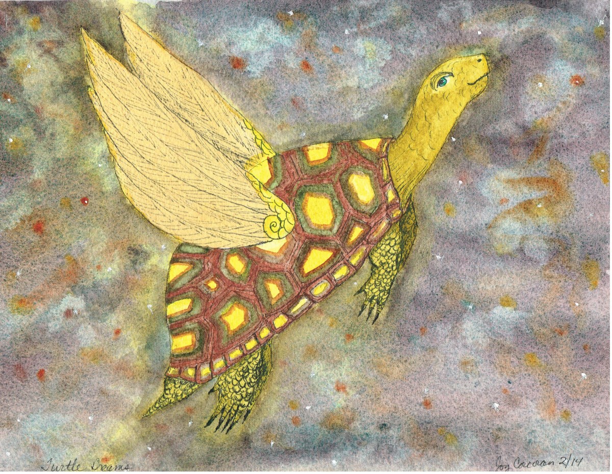 Turtle Dreams 001