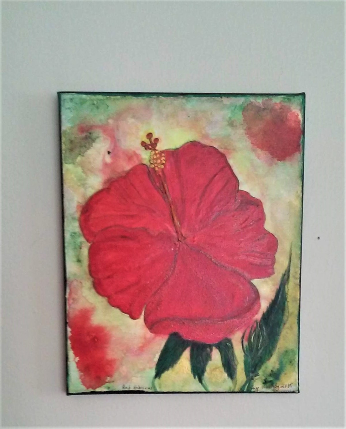 red hibiscus on wall