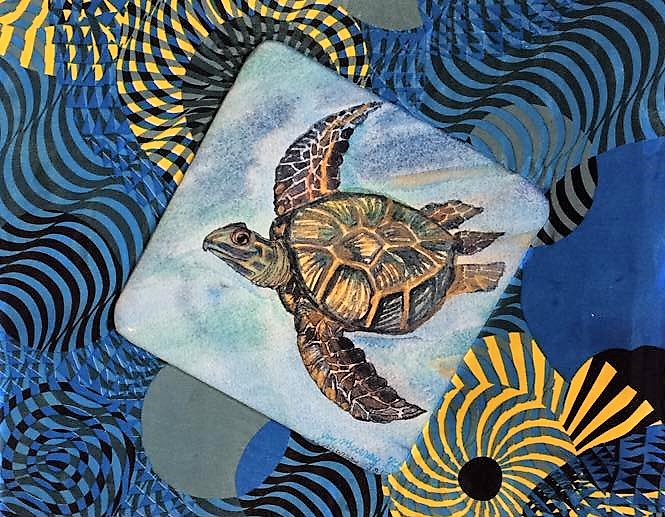 18034053_1689505717734130_3322423705159595438_n (2)