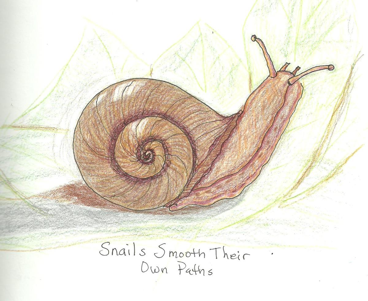 30 snail