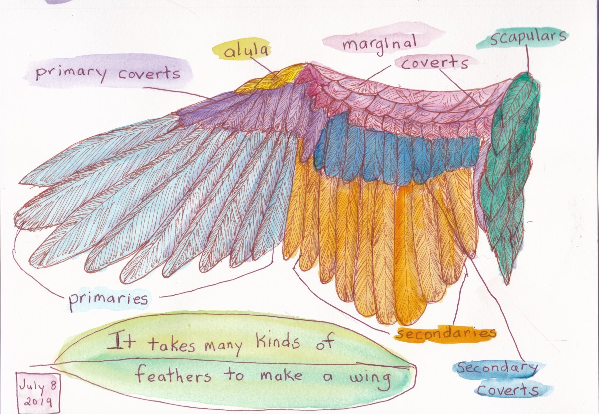 IMG_20190708_0001_NEW