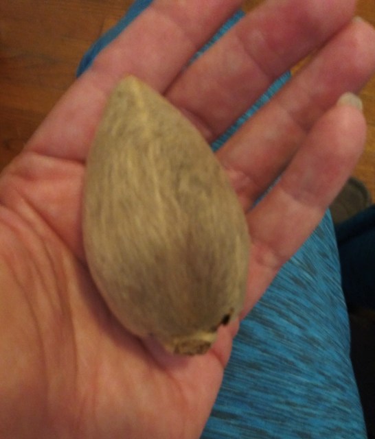 20200526_134454_Burst01