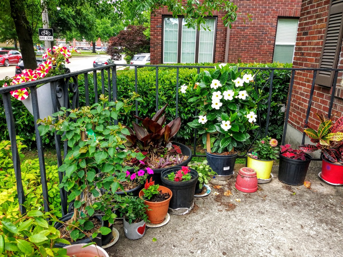 20200526_120458_Burst01