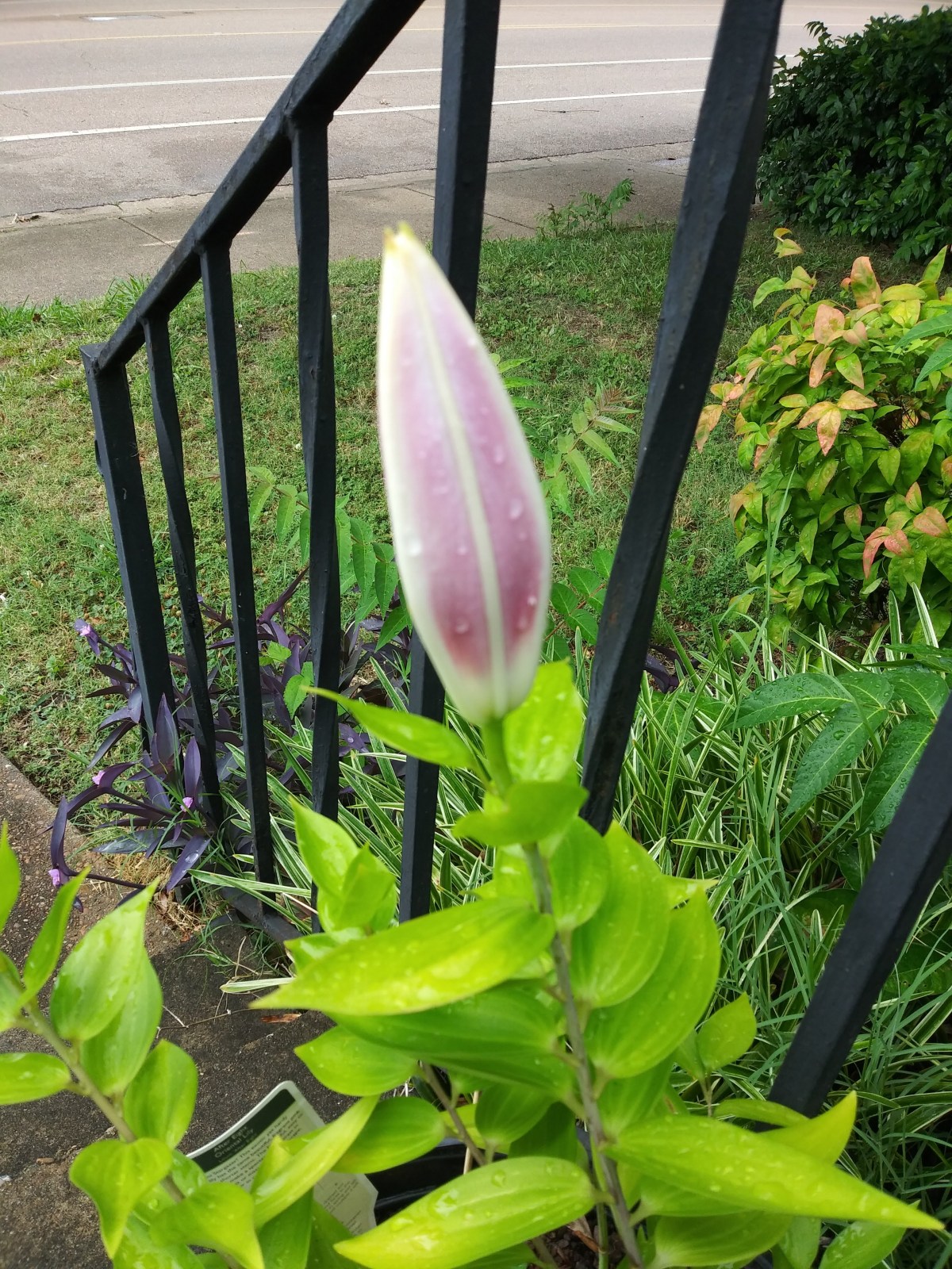 20200622_132845_Burst01